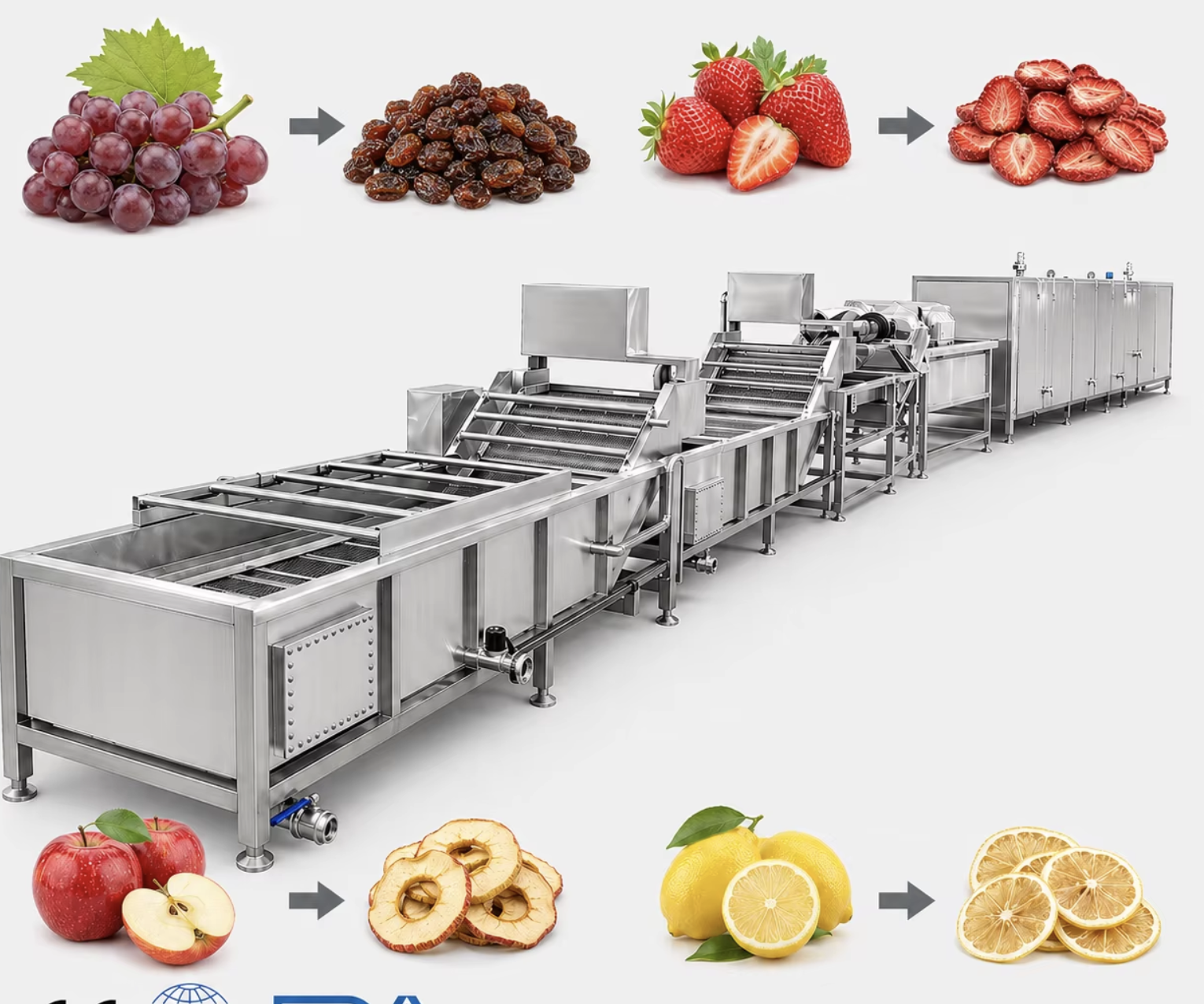 Atelier séchage de fraises